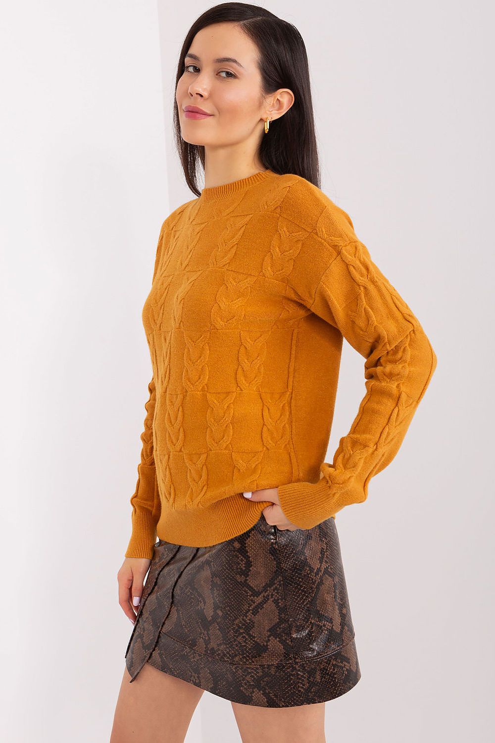 Chandail model 208297 AT